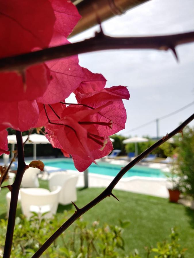 Natur Hotel Tanca كارديدو المظهر الخارجي الصورة